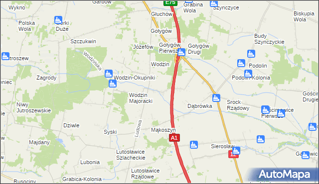 mapa Wodzinek gmina Tuszyn, Wodzinek gmina Tuszyn na mapie Targeo