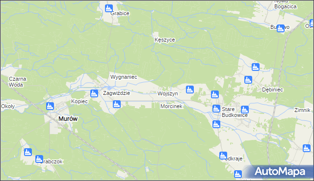 mapa Wojszyn gmina Murów, Wojszyn gmina Murów na mapie Targeo