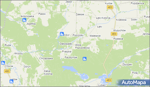 mapa Wola Pszczółecka, Wola Pszczółecka na mapie Targeo