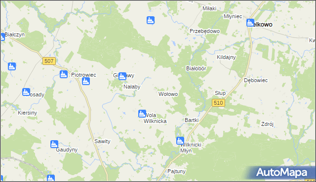 mapa Wołowo, Wołowo na mapie Targeo