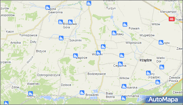 mapa Woźniki gmina Irządze, Woźniki gmina Irządze na mapie Targeo