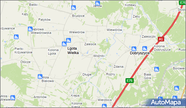 mapa Woźniki gmina Lgota Wielka, Woźniki gmina Lgota Wielka na mapie Targeo