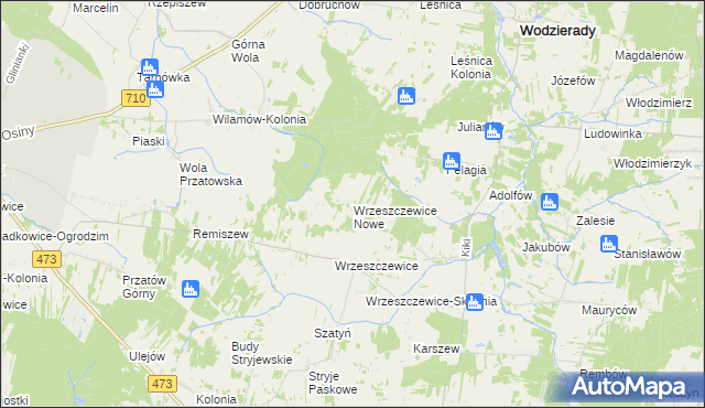 mapa Wrzeszczewice Nowe, Wrzeszczewice Nowe na mapie Targeo