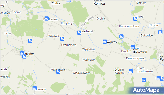 mapa Wygnanki, Wygnanki na mapie Targeo