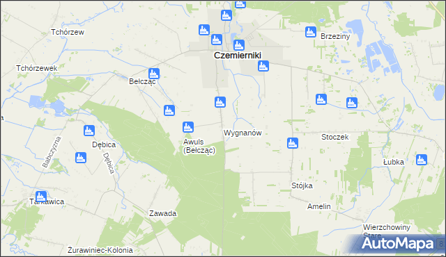 mapa Wygnanów gmina Czemierniki, Wygnanów gmina Czemierniki na mapie Targeo