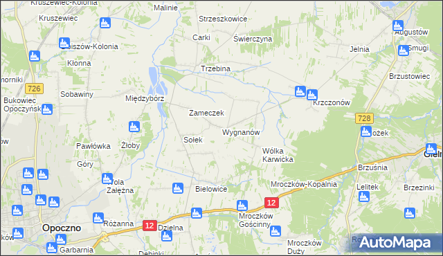 mapa Wygnanów gmina Opoczno, Wygnanów gmina Opoczno na mapie Targeo