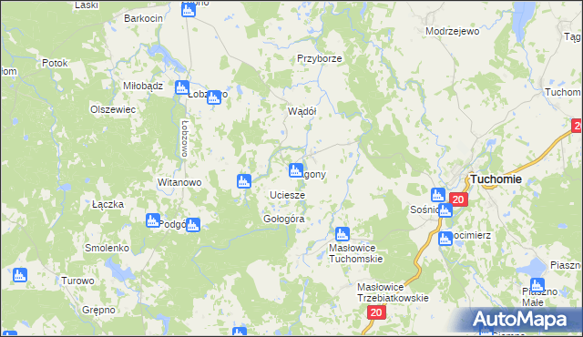 mapa Zagony gmina Tuchomie, Zagony gmina Tuchomie na mapie Targeo