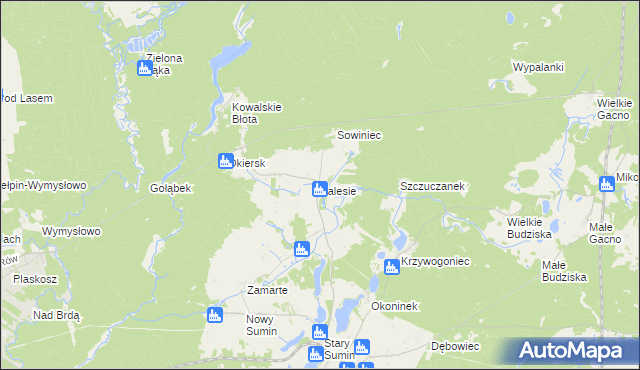 mapa Zalesie gmina Cekcyn, Zalesie gmina Cekcyn na mapie Targeo