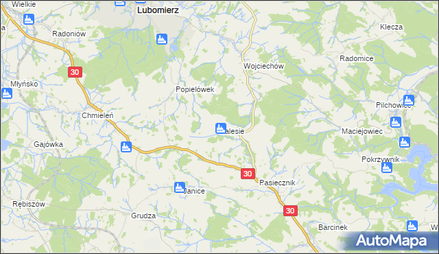 mapa Zalesie gmina Lubomierz, Zalesie gmina Lubomierz na mapie Targeo