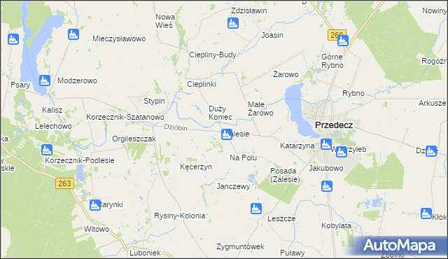 mapa Zalesie gmina Przedecz, Zalesie gmina Przedecz na mapie Targeo