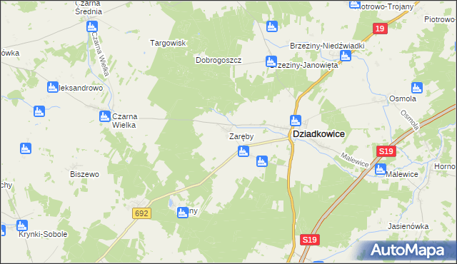 mapa Zaręby gmina Dziadkowice, Zaręby gmina Dziadkowice na mapie Targeo