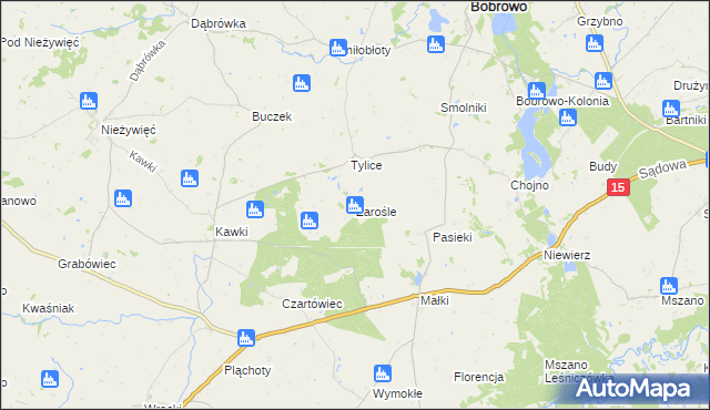 mapa Zarośle gmina Bobrowo, Zarośle gmina Bobrowo na mapie Targeo