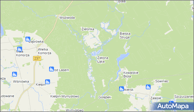 mapa Zielona Łąka gmina Tuchola, Zielona Łąka gmina Tuchola na mapie Targeo