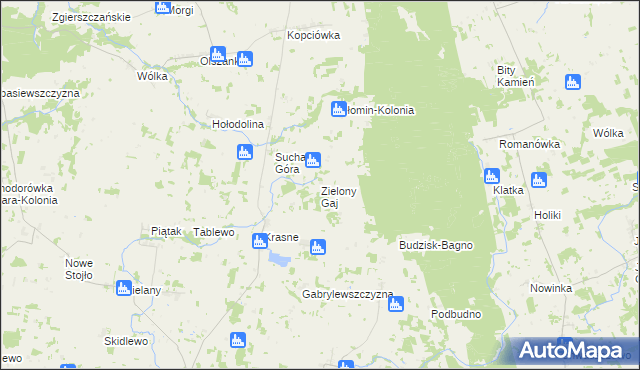 mapa Zielony Gaj gmina Janów, Zielony Gaj gmina Janów na mapie Targeo