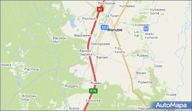 mapa Bąkowo gmina Warlubie, Bąkowo gmina Warlubie na mapie Targeo