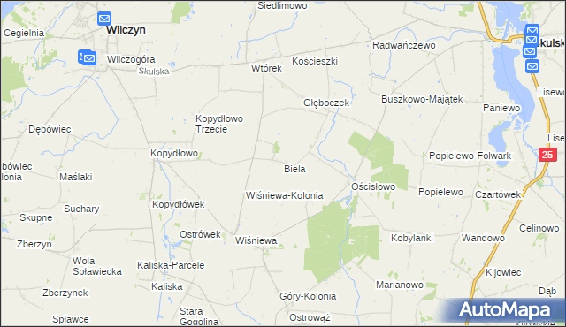 mapa Biela gmina Wilczyn, Biela gmina Wilczyn na mapie Targeo