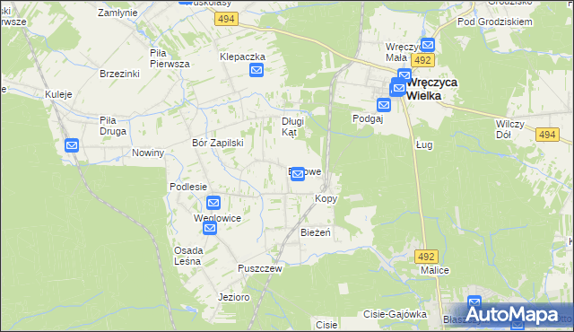 mapa Borowe gmina Wręczyca Wielka, Borowe gmina Wręczyca Wielka na mapie Targeo