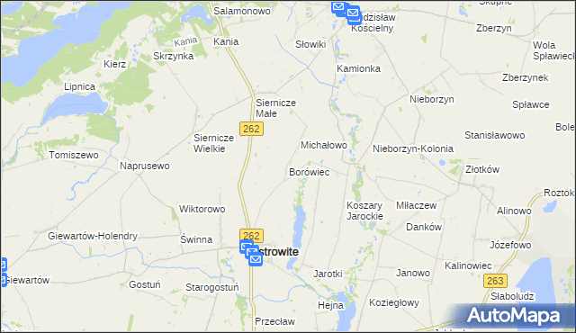 mapa Borówiec gmina Ostrowite, Borówiec gmina Ostrowite na mapie Targeo