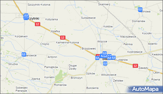 mapa Brzozowiec gmina Błaszki, Brzozowiec gmina Błaszki na mapie Targeo