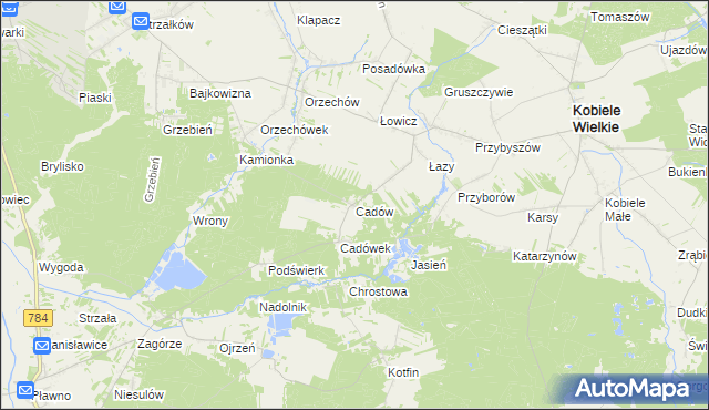 mapa Cadów, Cadów na mapie Targeo