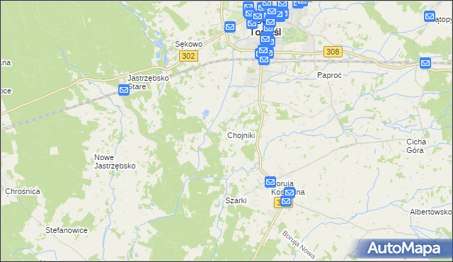 mapa Chojniki gmina Nowy Tomyśl, Chojniki gmina Nowy Tomyśl na mapie Targeo