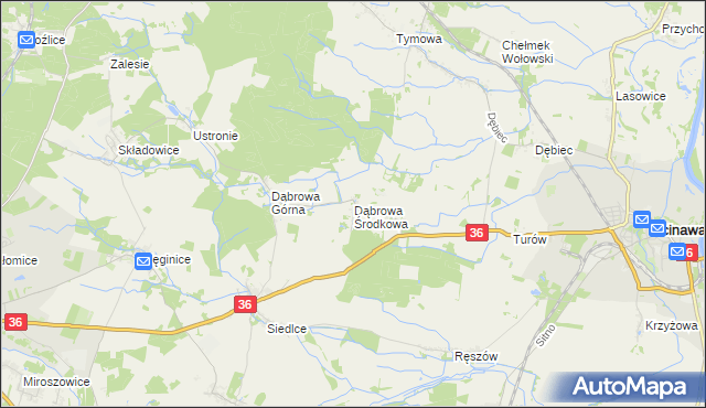 mapa Dąbrowa Środkowa, Dąbrowa Środkowa na mapie Targeo