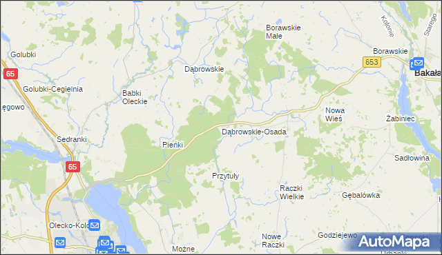 mapa Dąbrowskie-Osada, Dąbrowskie-Osada na mapie Targeo