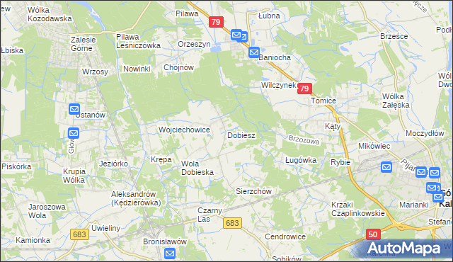 mapa Dobiesz, Dobiesz na mapie Targeo