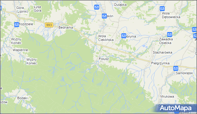 mapa Folusz gmina Dębowiec, Folusz gmina Dębowiec na mapie Targeo