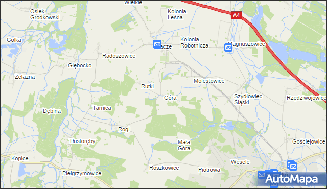 mapa Góra gmina Niemodlin, Góra gmina Niemodlin na mapie Targeo