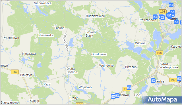 mapa Gozdowiec, Gozdowiec na mapie Targeo