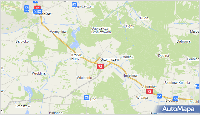 mapa Grzymiszew, Grzymiszew na mapie Targeo