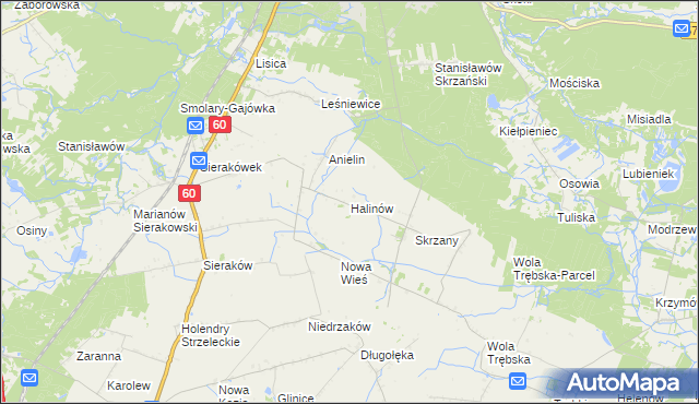 mapa Halinów gmina Gostynin, Halinów gmina Gostynin na mapie Targeo