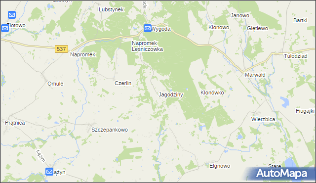 mapa Jagodziny, Jagodziny na mapie Targeo