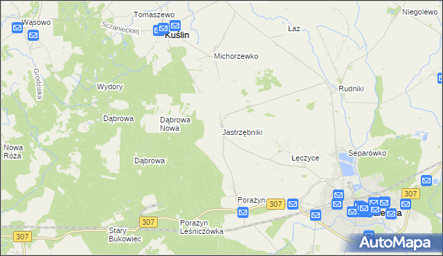 mapa Jastrzębniki gmina Opalenica, Jastrzębniki gmina Opalenica na mapie Targeo