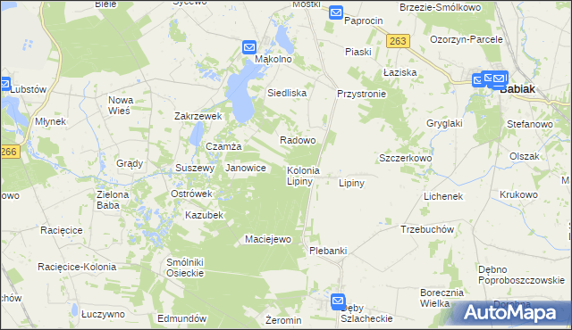 mapa Kolonia Lipiny gmina Sompolno, Kolonia Lipiny gmina Sompolno na mapie Targeo