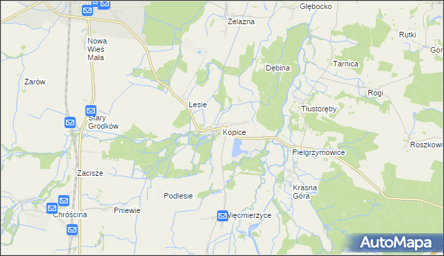 mapa Kopice gmina Grodków, Kopice gmina Grodków na mapie Targeo