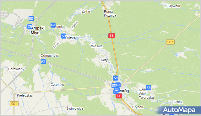 mapa Koty gmina Tworóg, Koty gmina Tworóg na mapie Targeo