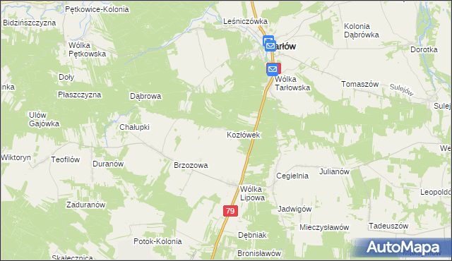 mapa Kozłówek gmina Tarłów, Kozłówek gmina Tarłów na mapie Targeo