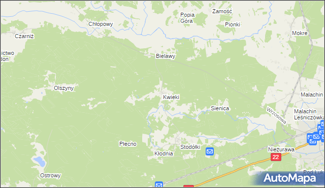 mapa Kwieki, Kwieki na mapie Targeo