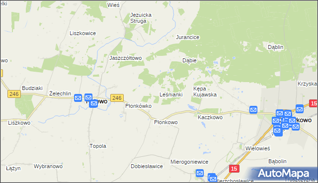 mapa Leśnianki, Leśnianki na mapie Targeo