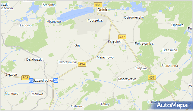 mapa Małachowo gmina Dolsk, Małachowo gmina Dolsk na mapie Targeo
