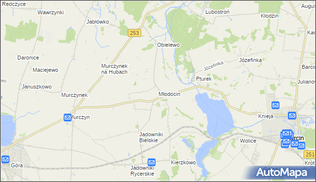 mapa Młodocin, Młodocin na mapie Targeo