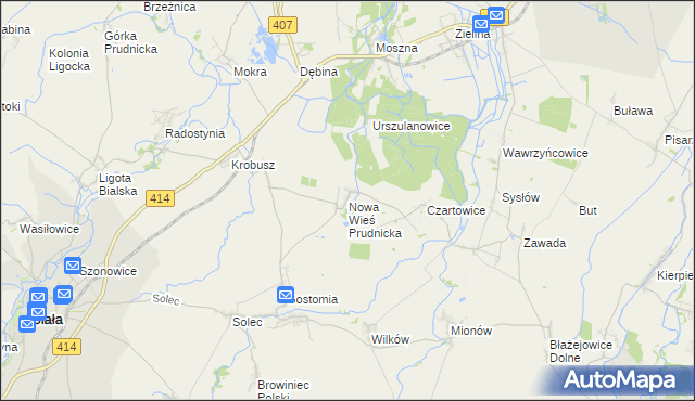 mapa Nowa Wieś Prudnicka, Nowa Wieś Prudnicka na mapie Targeo
