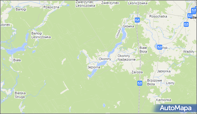 mapa Okoniny gmina Śliwice, Okoniny gmina Śliwice na mapie Targeo