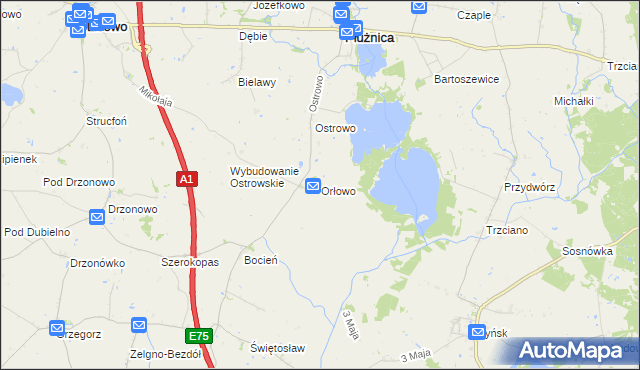 mapa Orłowo gmina Płużnica, Orłowo gmina Płużnica na mapie Targeo