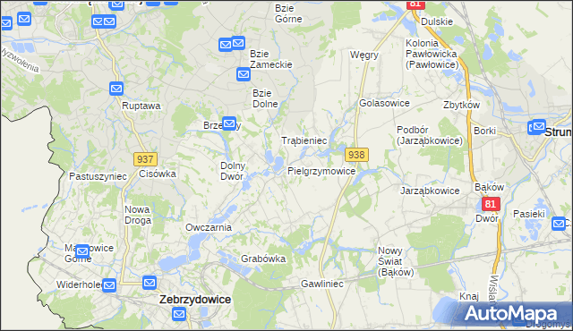mapa Pielgrzymowice gmina Pawłowice, Pielgrzymowice gmina Pawłowice na mapie Targeo
