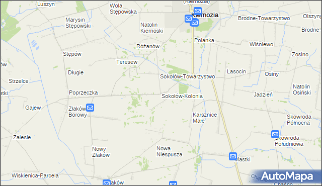 mapa Sokołów-Kolonia, Sokołów-Kolonia na mapie Targeo