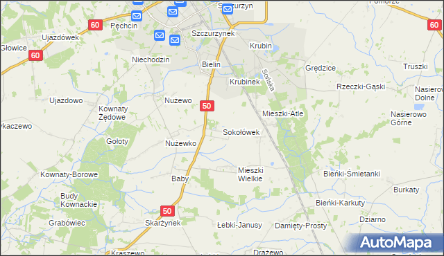 mapa Sokołówek gmina Ciechanów, Sokołówek gmina Ciechanów na mapie Targeo