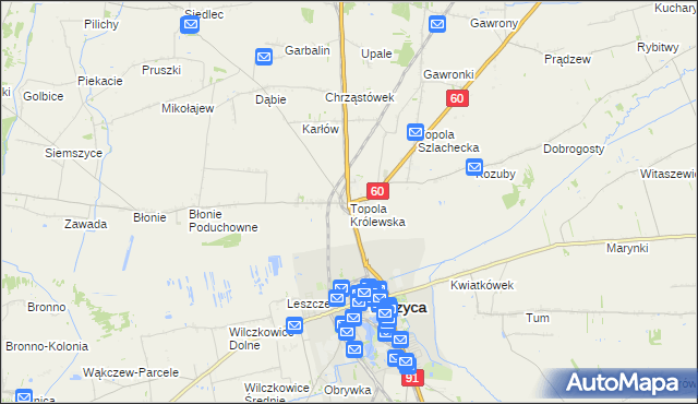 mapa Topola Królewska, Topola Królewska na mapie Targeo